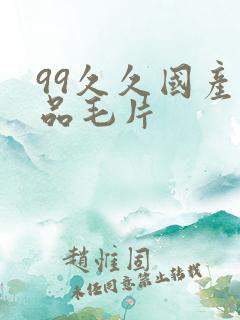 99久久国产精品毛片