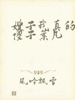 嫂子我真的不是傻子叶凡