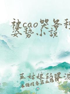 被cao哭各种姿势小说