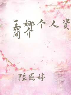 王娜个人资料及简介