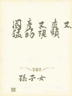 国产又爽又粗又猛的视频