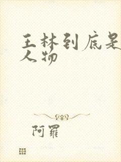 王林到底是什么人物