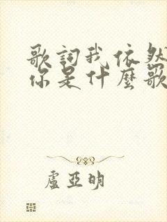 歌词我依然在等你是什么歌