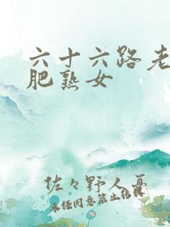 六十六路老熟女肥熟女