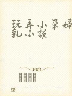 玩弄小孕妇的双乳小说