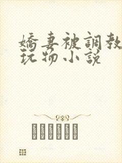 娇妻被调教沦为玩物小说