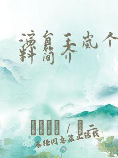 演员王岚个人资料简介