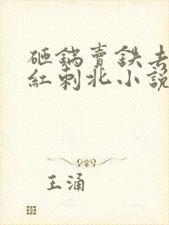 砸锅卖铁去上学红刺北小说无弹窗