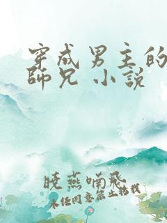 穿成男主的炮灰师兄 小说