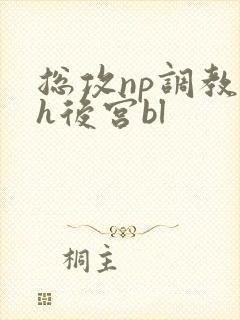 总攻np调教高h后宫bl