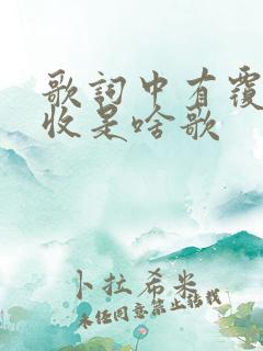 歌词中有覆水难收是啥歌