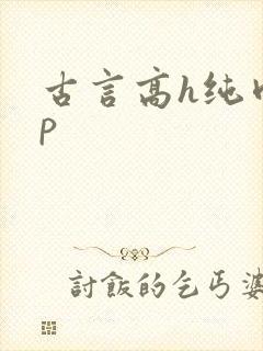 古言高h纯肉np