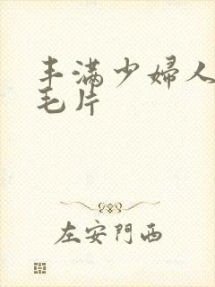 丰满少妇人妻h毛片