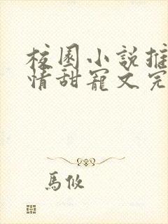 校园小说推荐言情甜宠文完结