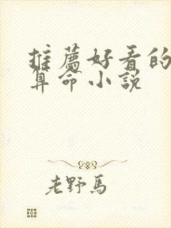 推荐好看的风水算命小说