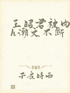 王昭君被肉干高h潮文不断