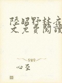 陆昭野林夜棠全文免费阅读最新章节