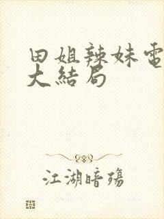 田姐辣妹电视剧大结局