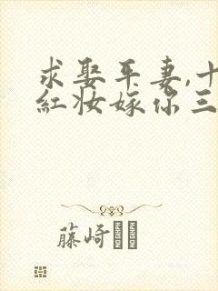 求娶平妻,十里红妆嫁你三叔免费