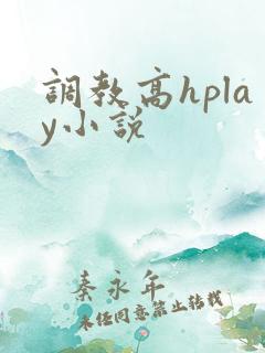 调教高hplay小说