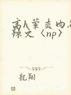 高h荤爽肉欲文辣文〈np〉