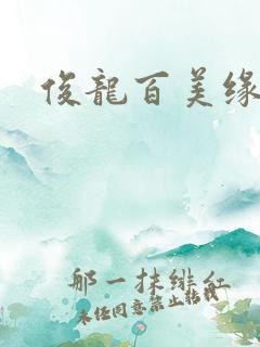 俊龙百美缘小说
