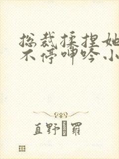 总裁揉捏她两乳不停呻吟小视频