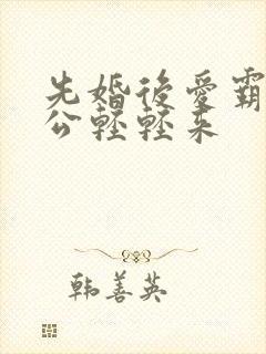 先婚后爱霸道老公轻轻来