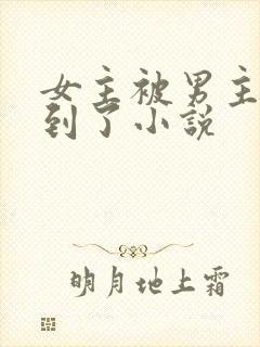 女主被男主们找到了小说
