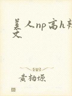 美人np高h辣文