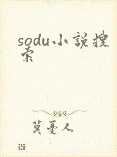 sodu小说搜索