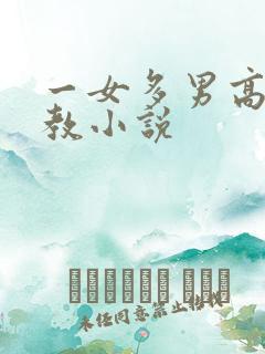 一女多男高辣调教小说