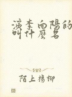 演李向阳的演员叫什么名