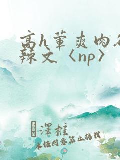 高h荤爽肉欲文辣文〈np〉