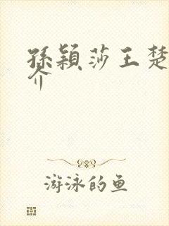 孙颖莎王楚钦简介