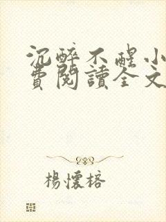 沉醉不醒小说免费阅读全文无弹窗