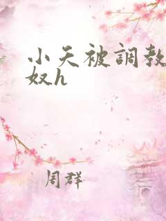 小夭被调教成肉奴h