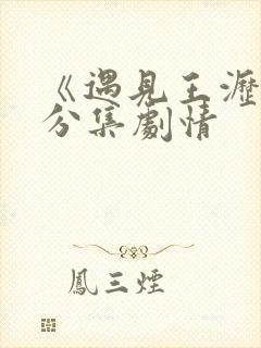 《遇见王沥川》分集剧情