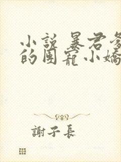 小说 暴君爹爹的团宠小娇包