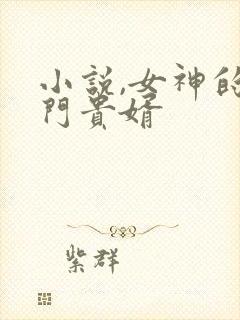 小说,女神的上门贵婿
