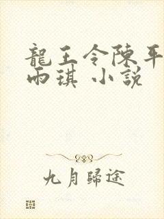 龙王令陈平,苏雨琪 小说