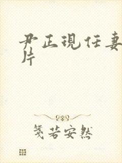 尹正现任妻子照片