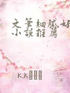 文笔细腻好看的小说推荐