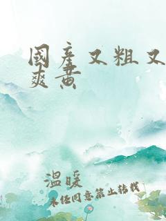 国产又粗又猛又爽黄