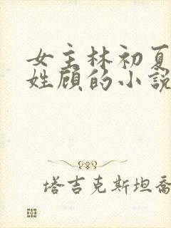女主林初夏男主姓顾的小说