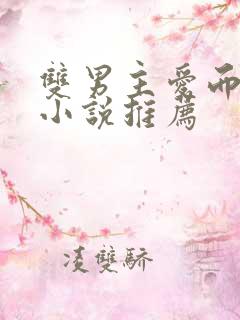 双男主爱而不得小说推荐