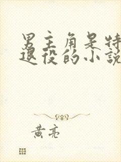 男主角是特种兵退役的小说