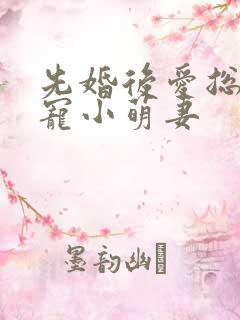 先婚后爱总裁蜜宠小萌妻