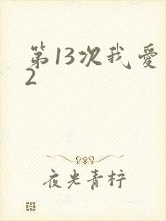 第13次我爱你2