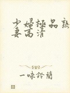 少妇极品熟妇人妻高清